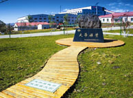 青岛天华矿业集团